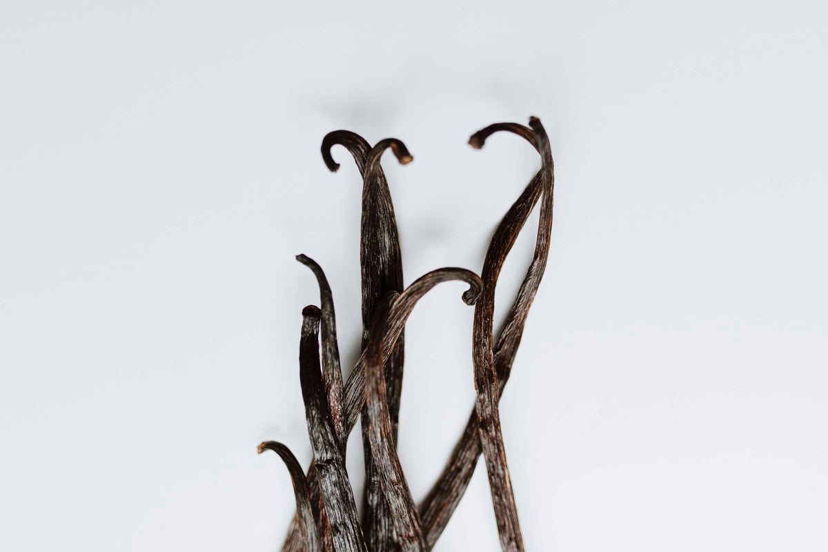 Directo del productor: vainilla chiapaneca