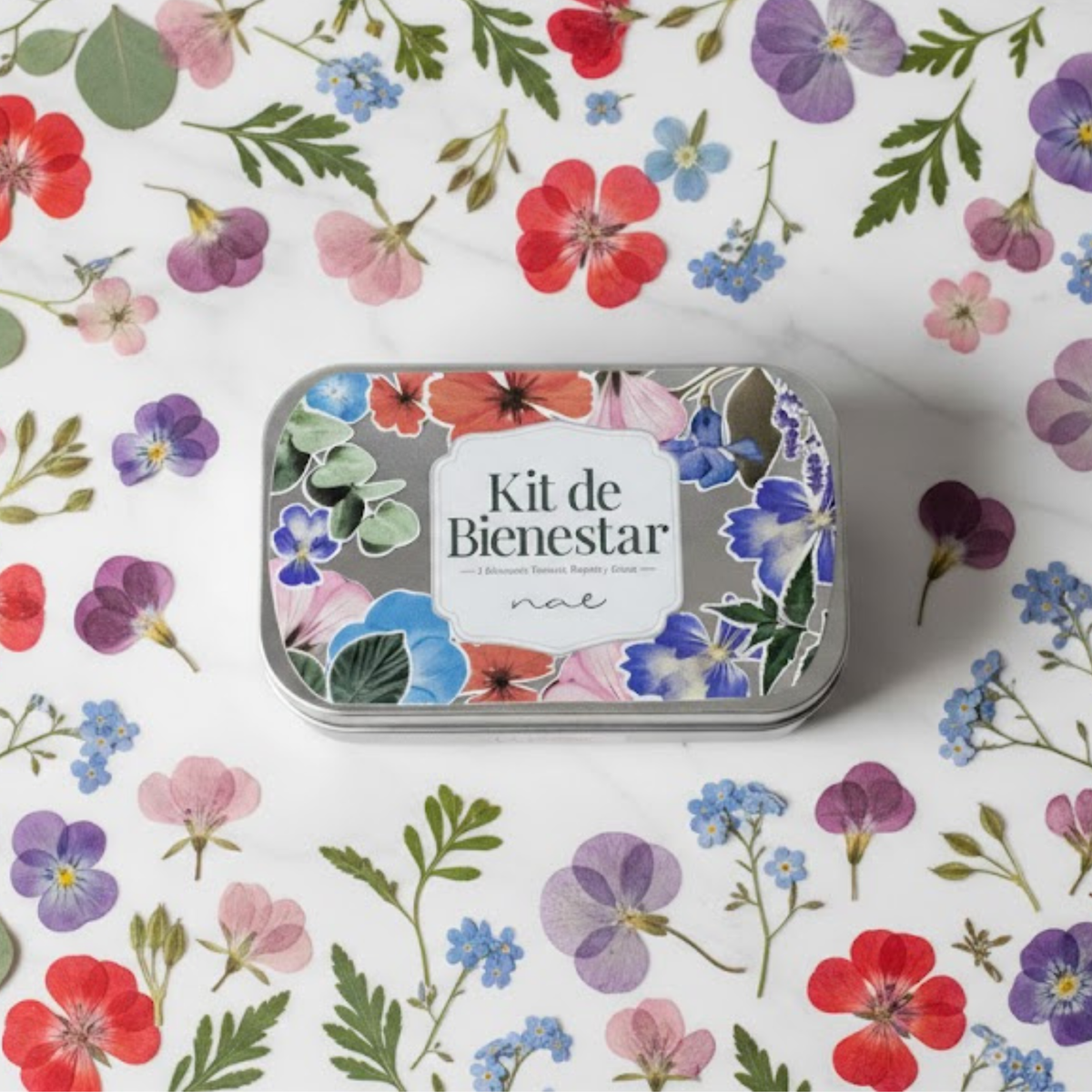 Kit de Bienestar NAE