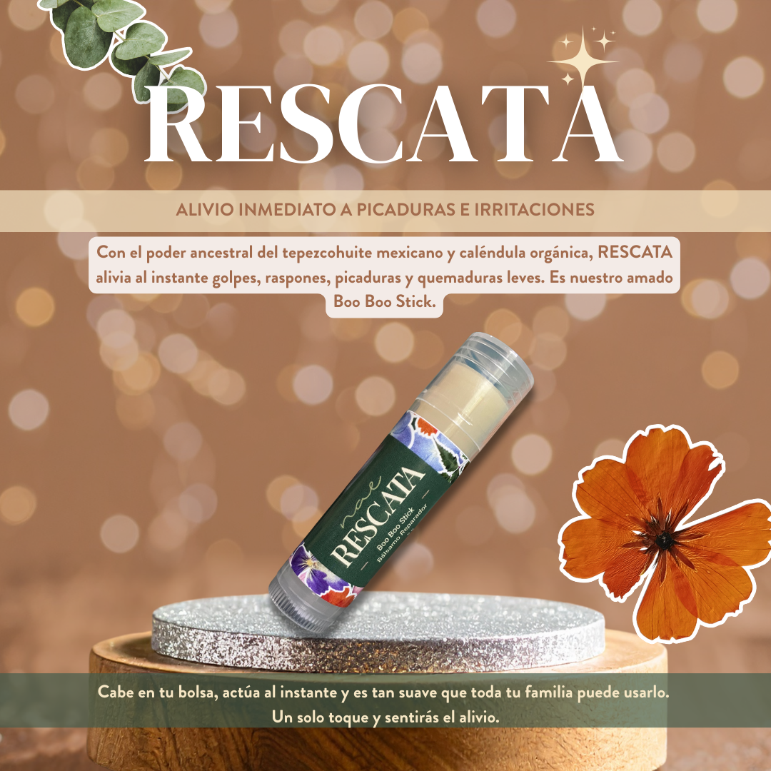 Kit de Bienestar NAE