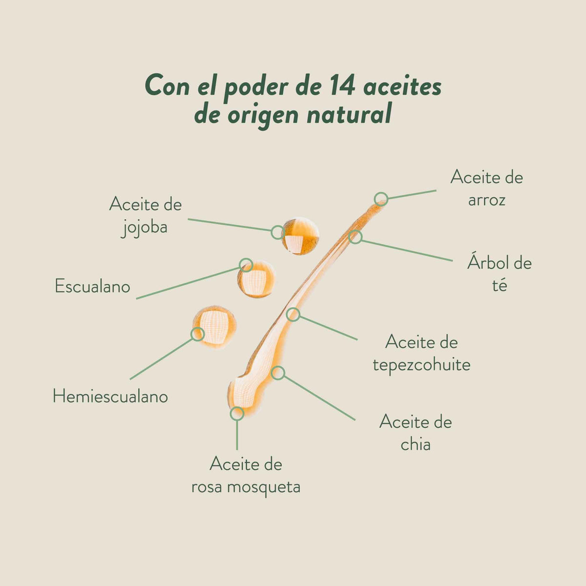 Mezcla NAE geranio árbol de té - Aceite facial