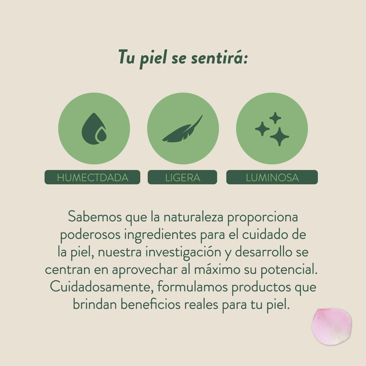 Mezcla NAE geranio árbol de té - Aceite facial 30 ml