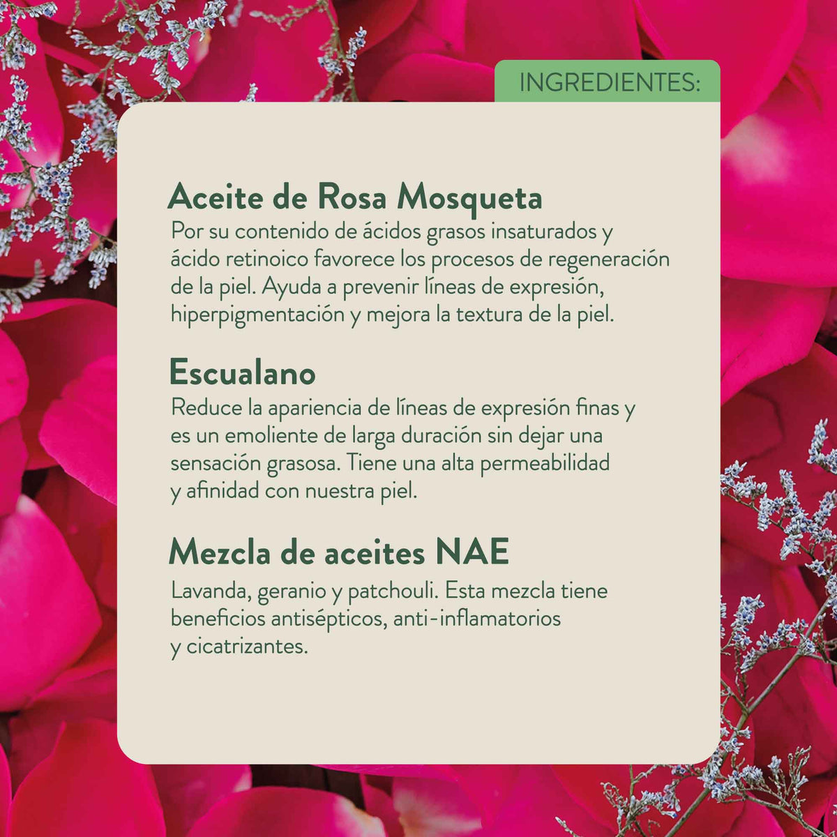 Mezcla NAE Regenerativa Rosa Mosqueta Escualano - Aceite facial