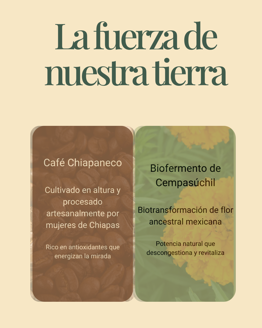 Gel Contorno de Ojos Cafeína | Algas
